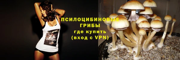 ГАЛЛЮЦИНОГЕННЫЕ ГРИБЫ Вязники