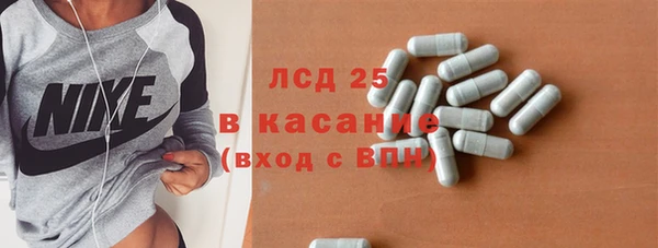 ГАЛЛЮЦИНОГЕННЫЕ ГРИБЫ Вязники