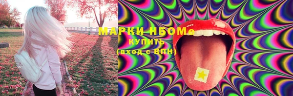 ГАЛЛЮЦИНОГЕННЫЕ ГРИБЫ Вязники