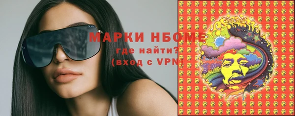 ГАЛЛЮЦИНОГЕННЫЕ ГРИБЫ Вязники