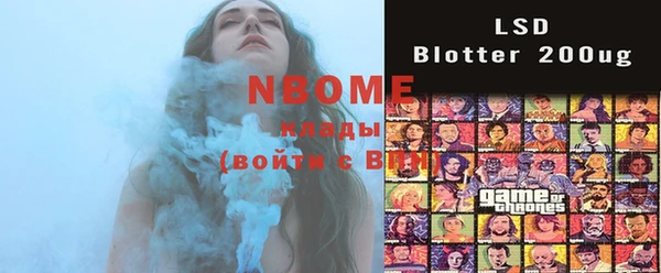 ГАЛЛЮЦИНОГЕННЫЕ ГРИБЫ Вязники