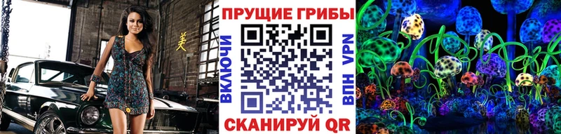 Галлюциногенные грибы мухоморы  продажа наркотиков  Ленинградская 